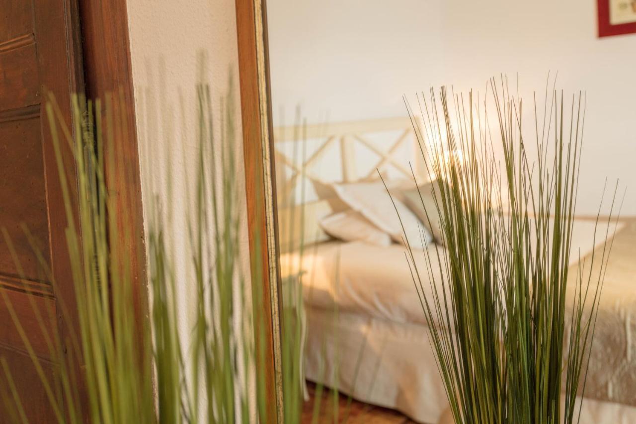 Logis Auberge Cote Jardin Hotel Lézignan-Corbières Kültér fotó